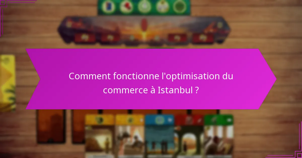 Comment fonctionne l’optimisation du commerce à Istanbul ?